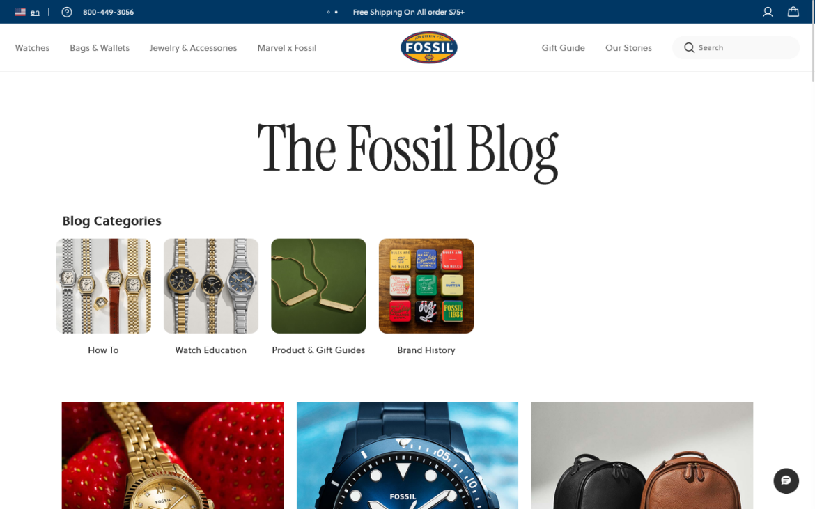 Fossil Blog